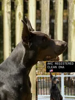 processed/e1675e59-0878-4c06-8d67-f58de8aaf2f7/listing/6a1ba026-a977-4824-a598-a02650b38889/7a54346f-b940-498d-b8b8-aa39eb2ceb0a