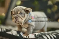 processed/e16b31a4-f6b3-4189-933a-b43599077413/listing/574d6c36-7915-4592-a7c7-f158b4b9874b/e7587818-c365-458b-afbb-5ae0aa4a0e0e