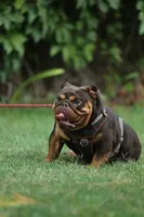 processed/e16b31a4-f6b3-4189-933a-b43599077413/listing/5932cc88-2d75-4ad9-8f86-14307a262ba1/727fa7ac-9197-4881-b2cc-a081221c0882