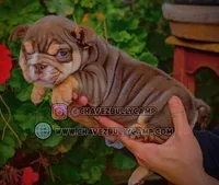 processed/e16b31a4-f6b3-4189-933a-b43599077413/listing/5f9dcb7e-e53b-4dab-858b-149ef07aad53/a0552255-d0f2-4cff-9803-07ceb4cae4bb