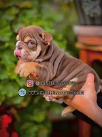 processed/e16b31a4-f6b3-4189-933a-b43599077413/listing/5f9dcb7e-e53b-4dab-858b-149ef07aad53/ea15c0c4-0432-472f-8a1c-0882e17805ba