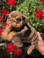 processed/e16b31a4-f6b3-4189-933a-b43599077413/listing/7f6d4f5e-9530-419a-9959-d0928b207f07/beeb429d-ca05-4f83-ac5d-850b5aca030e