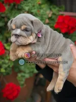 processed/e16b31a4-f6b3-4189-933a-b43599077413/listing/7f6d4f5e-9530-419a-9959-d0928b207f07/d6b0ac82-248f-417c-a51e-3f60564b7036