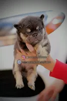 processed/e16b31a4-f6b3-4189-933a-b43599077413/listing/b31146a5-ae10-4dd1-afad-1f304500eeb5/69680425-7c36-4bec-b2ab-a3b57ad7770f