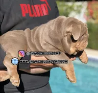 processed/e16b31a4-f6b3-4189-933a-b43599077413/listing/b3886554-dc0a-42a7-af8c-23c6e0f373a0/220806bb-7c96-4295-a051-9633645c563e