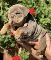 processed/e16b31a4-f6b3-4189-933a-b43599077413/listing/b3886554-dc0a-42a7-af8c-23c6e0f373a0/503823e9-0948-476d-9d51-6cdf43a212bd