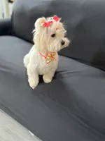 processed/e16d0ad0-c60d-41d2-9837-f9cd50b9a325/listing/18eb1be8-f4b5-400a-ba58-de4bea2d282f/48f7e566-a1c7-438b-94dc-60cba722c84e