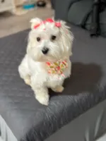 processed/e16d0ad0-c60d-41d2-9837-f9cd50b9a325/listing/da429113-0126-4c41-8f7a-6f8f9b602af7/004eac96-41cb-49c4-81b7-66066581ef25