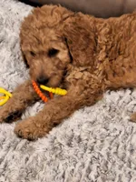 processed/e170e05d-635c-428f-85ed-f03ca4becf84/facility/03824413-24e8-4194-b708-56861f5d1b1e