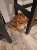 processed/e170e05d-635c-428f-85ed-f03ca4becf84/facility/3bd32797-b6ee-439a-8bfc-3db329264d5c