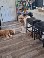 processed/e170e05d-635c-428f-85ed-f03ca4becf84/facility/6b356d28-1c2b-4cd7-889e-90666b72a12f