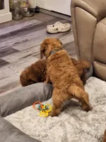 processed/e170e05d-635c-428f-85ed-f03ca4becf84/facility/706db98d-3daa-423e-9137-82ad506cd500