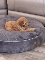 processed/e170e05d-635c-428f-85ed-f03ca4becf84/facility/83ec28c0-8119-4dbb-8cd4-820805223226