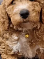 processed/e170e05d-635c-428f-85ed-f03ca4becf84/facility/b1142311-e303-4950-a651-9980ce64fcf6