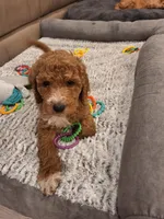 processed/e170e05d-635c-428f-85ed-f03ca4becf84/facility/d9db8faf-f785-45dc-8afc-68b338ee9e4f