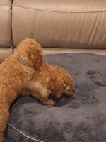 processed/e170e05d-635c-428f-85ed-f03ca4becf84/facility/db2f6bba-262a-4ad8-848e-c0f64e0dc464