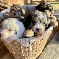 processed/e171891e-c293-4a41-8452-e297aff57b93/facility/07f65153-f3e2-4425-80bd-3a72feaa8bc6