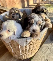 processed/e171891e-c293-4a41-8452-e297aff57b93/facility/07f65153-f3e2-4425-80bd-3a72feaa8bc6