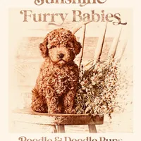 processed/e171891e-c293-4a41-8452-e297aff57b93/facility/9f80823b-84cc-4b29-ab36-5032ece72614