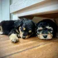 processed/e171891e-c293-4a41-8452-e297aff57b93/facility/a67fda61-38af-447a-b2f1-2b336f2e304a