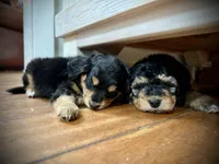 processed/e171891e-c293-4a41-8452-e297aff57b93/facility/a67fda61-38af-447a-b2f1-2b336f2e304a