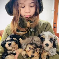 processed/e171891e-c293-4a41-8452-e297aff57b93/facility/e94ac0cf-bbcf-495e-9b69-f02b46c1e410