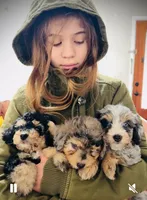 processed/e171891e-c293-4a41-8452-e297aff57b93/facility/e94ac0cf-bbcf-495e-9b69-f02b46c1e410