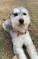 processed/e171891e-c293-4a41-8452-e297aff57b93/listing/88f9f320-4d80-4a5c-890c-fb3525231ac9/2f354d7a-6d08-4b77-b2f4-502b1c85c484