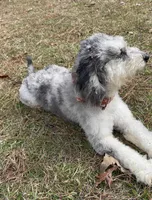 processed/e171891e-c293-4a41-8452-e297aff57b93/listing/88f9f320-4d80-4a5c-890c-fb3525231ac9/7427d293-7d35-4956-ae71-7e21615ac51a