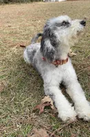 processed/e171891e-c293-4a41-8452-e297aff57b93/listing/88f9f320-4d80-4a5c-890c-fb3525231ac9/e5f3dbcb-8a12-4731-86ef-9fc8115e49e2