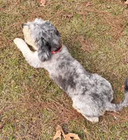 processed/e171891e-c293-4a41-8452-e297aff57b93/listing/88f9f320-4d80-4a5c-890c-fb3525231ac9/fccbd361-61f4-4538-b95a-39f7bee3092b