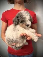 processed/e171891e-c293-4a41-8452-e297aff57b93/listing/fb4a02b7-d920-41ee-8774-7c7c6778f3f9/3de17042-4b67-4ef5-9dcc-eb58ebaa5216