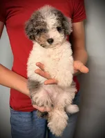 processed/e171891e-c293-4a41-8452-e297aff57b93/listing/fb4a02b7-d920-41ee-8774-7c7c6778f3f9/4d56bdcd-153a-471a-bb8f-93c44c4db342