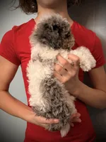 processed/e171891e-c293-4a41-8452-e297aff57b93/listing/fb4a02b7-d920-41ee-8774-7c7c6778f3f9/4fedf9ae-6fc7-48a3-81fc-0d3b1d4392a1