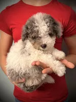 processed/e171891e-c293-4a41-8452-e297aff57b93/listing/fb4a02b7-d920-41ee-8774-7c7c6778f3f9/7270bfe5-6fd6-4484-abd7-9ab8d437a9b5