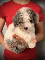 processed/e171891e-c293-4a41-8452-e297aff57b93/listing/fb4a02b7-d920-41ee-8774-7c7c6778f3f9/77e69f33-8ea4-408e-9335-918916e0469b