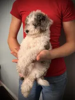 processed/e171891e-c293-4a41-8452-e297aff57b93/listing/fb4a02b7-d920-41ee-8774-7c7c6778f3f9/79d01e49-0d28-41e2-8323-b8505a713c9e