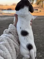 processed/e17546bc-4f5b-47d2-9146-da9a2972accc/listing/53c59ae9-cf18-42e9-9546-2a5f28ad549b/850fc84c-bccc-41f5-bc5c-a7ffe3633fa0