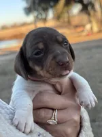 processed/e17546bc-4f5b-47d2-9146-da9a2972accc/listing/53c59ae9-cf18-42e9-9546-2a5f28ad549b/98709ec9-3dfc-458e-8cee-d2f00c9d9275