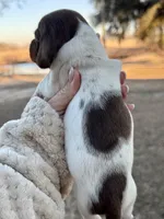 processed/e17546bc-4f5b-47d2-9146-da9a2972accc/listing/69b0235a-345c-49ba-9abd-37ff152b65c9/d71f4965-9a0d-4f3a-81ce-5e184edc84cf