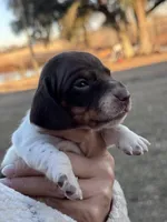 processed/e17546bc-4f5b-47d2-9146-da9a2972accc/listing/69b0235a-345c-49ba-9abd-37ff152b65c9/d8509f85-2dd4-4d11-a364-2fcf8935f66a