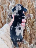 processed/e17546bc-4f5b-47d2-9146-da9a2972accc/listing/dca1a6f0-aa14-42db-bbed-e35f11836ce4/131cc249-52df-4aea-a40a-bc4e1e429081