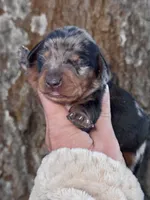 processed/e17546bc-4f5b-47d2-9146-da9a2972accc/listing/dca1a6f0-aa14-42db-bbed-e35f11836ce4/a7284fc6-7a06-45df-9cfc-2eb97296be9e