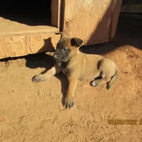 processed/e1758d24-dcd0-4b91-bee8-aadeccaa6060/facility/0ec6cc19-45a6-4f29-b1ee-0da5801b0559