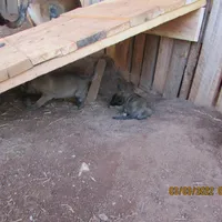 processed/e1758d24-dcd0-4b91-bee8-aadeccaa6060/facility/1b52a862-4b1c-4946-8338-89d1dde0e2a0