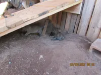 processed/e1758d24-dcd0-4b91-bee8-aadeccaa6060/facility/1b52a862-4b1c-4946-8338-89d1dde0e2a0