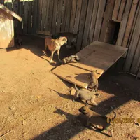 processed/e1758d24-dcd0-4b91-bee8-aadeccaa6060/facility/45b45ea2-ee4a-4f30-b4f6-9a8c75848095