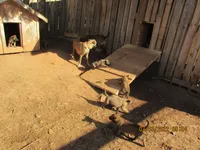 processed/e1758d24-dcd0-4b91-bee8-aadeccaa6060/facility/45b45ea2-ee4a-4f30-b4f6-9a8c75848095