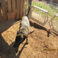 processed/e1758d24-dcd0-4b91-bee8-aadeccaa6060/facility/55878338-22b7-4d9b-8008-ba1a61e82264