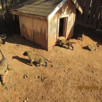 processed/e1758d24-dcd0-4b91-bee8-aadeccaa6060/facility/5fcdb438-fd31-4e61-a879-63020d6a4169